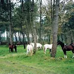 Alpstuga La Palombiere *