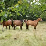 Alpstuga La Palombiere Saint-Symphorien (Gironde)