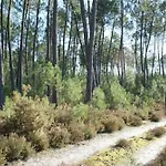 La Palombiere Alpstuga Saint-Symphorien (Gironde)