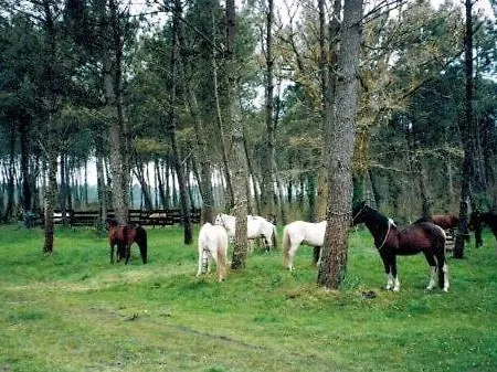בקתה La Palombiere *