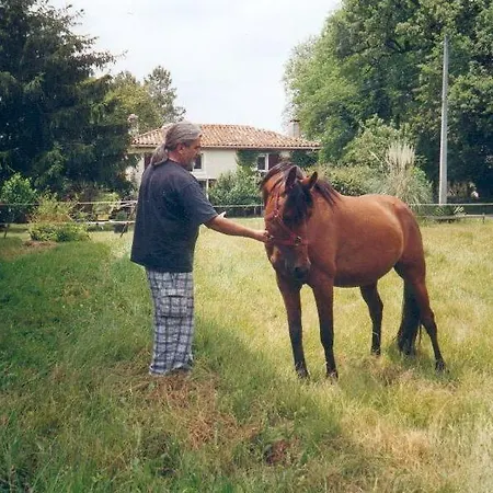 La Palombière Saint-Symphorien (Gironde)