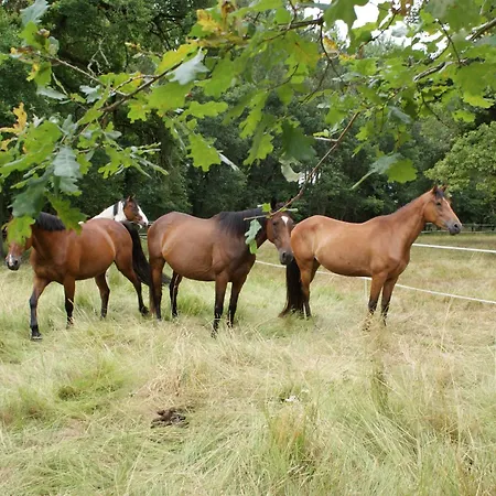בקתה La Palombiere Saint-Symphorien (Gironde)