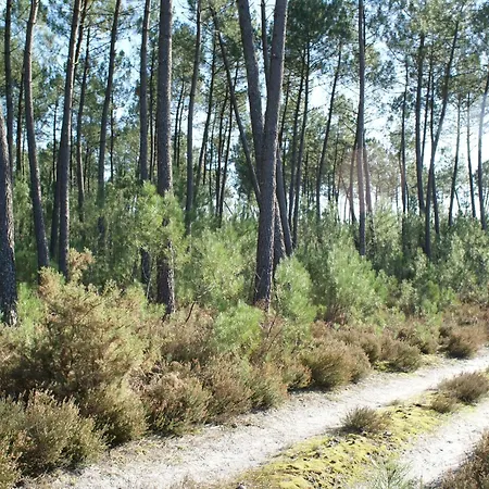 La Palombiere בקתה Saint-Symphorien (Gironde)