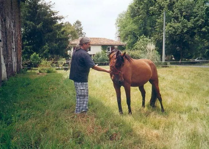 La Palombiere Saint-Symphorien (Gironde)