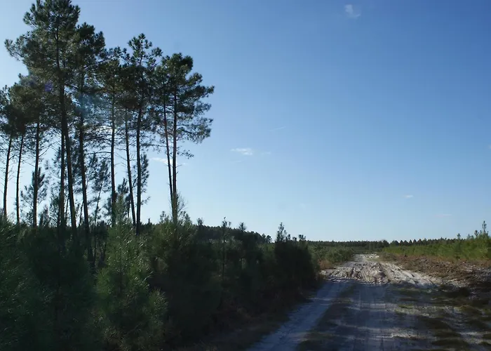 Chalé La Palombiere *